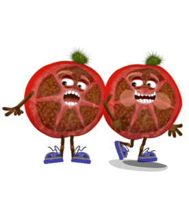 Digital downloads for Adobe Character Animator fully rigged digital puppet is an tomato slice with expressive eyes and blue shoes and a walking tomato.