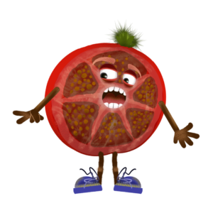 Digital download for Adobe Character Animator, fully rigged digital puppet is a slice of tomato with expressive eyes and blue shoes.